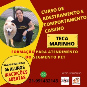 Curso de formação de adestramento de cães